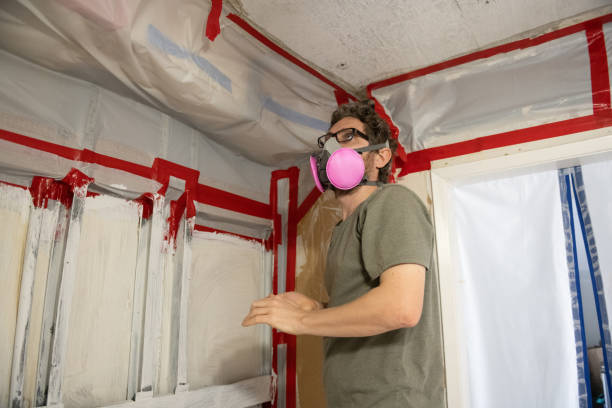 Best Environmental Consulting for Mold Prevention  in Alpha, NJ
