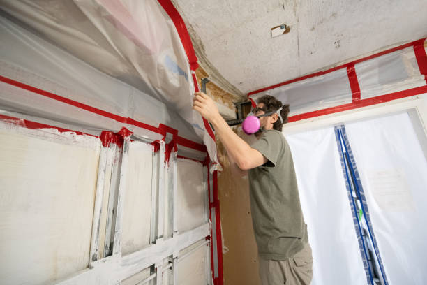 Best Comprehensive Air Testing for Mold Contaminants  in Alpha, NJ